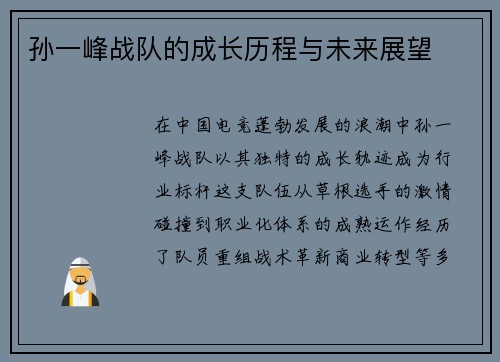 孙一峰战队的成长历程与未来展望